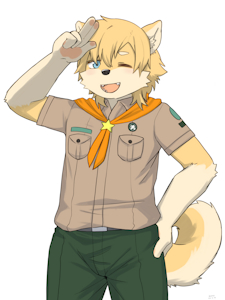 Shiba Boy Scouts have arrived.