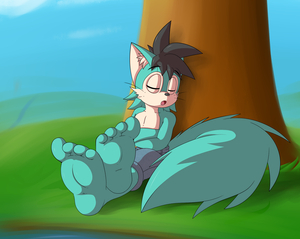 Sleepy Meadow