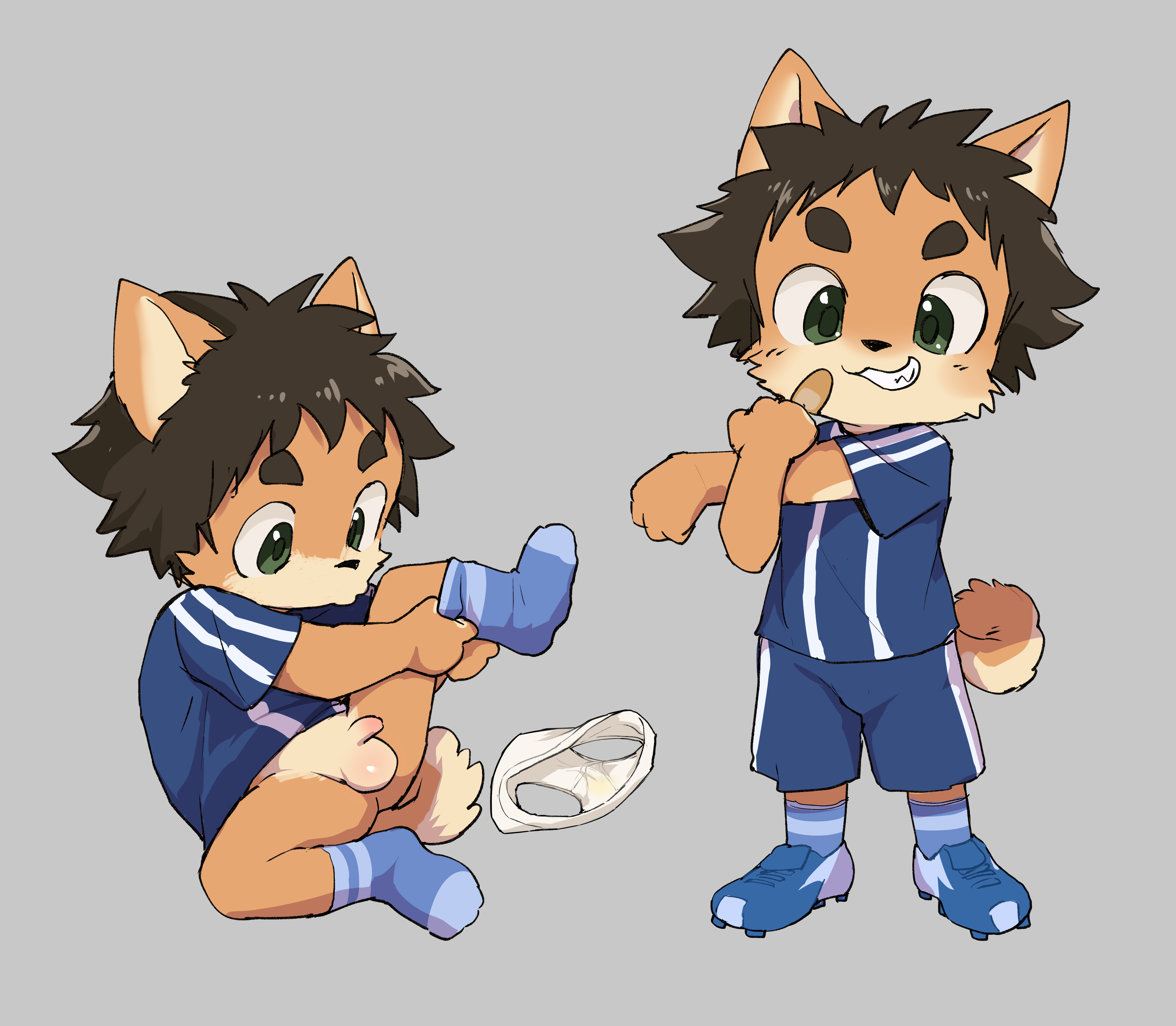 5046579_marimo189981__mu.png