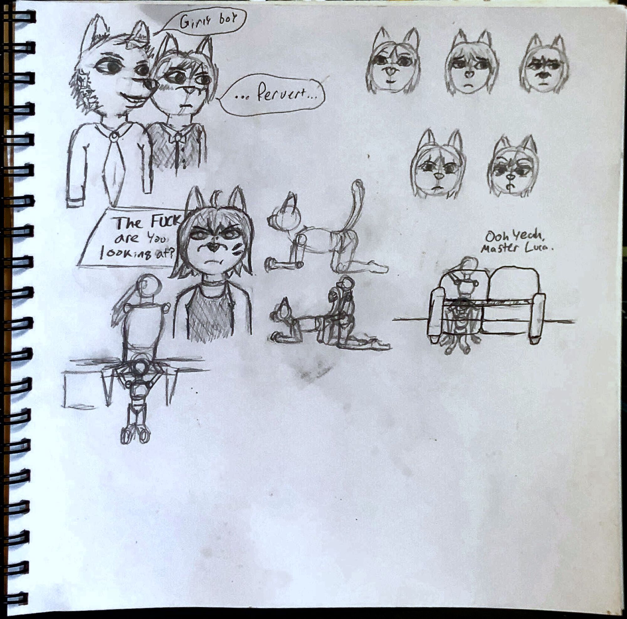5046597_CloudHusky_practice_2_.jpg