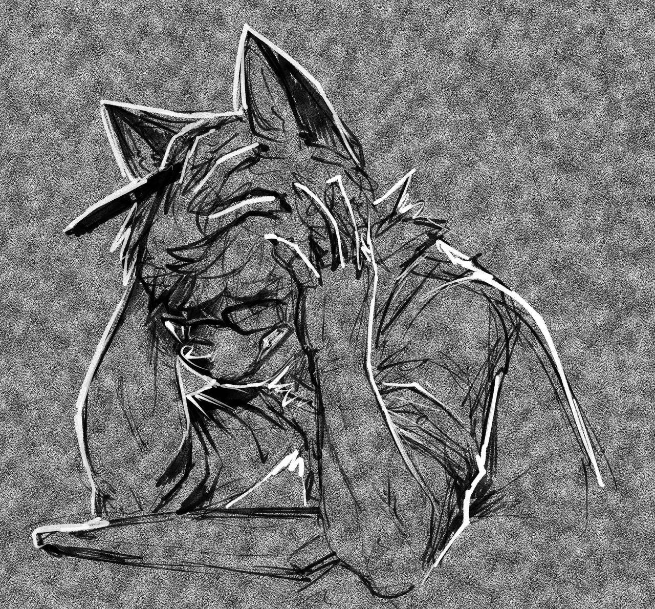 5049634_BastionShadowpaw_untitled_4_.png