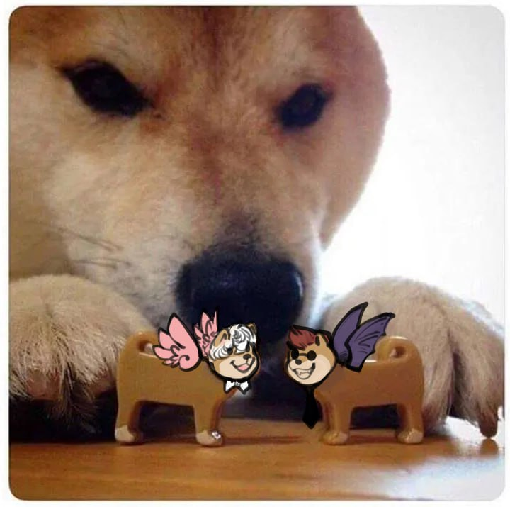 5049677_BastionShadowpaw_untitled_19_.png