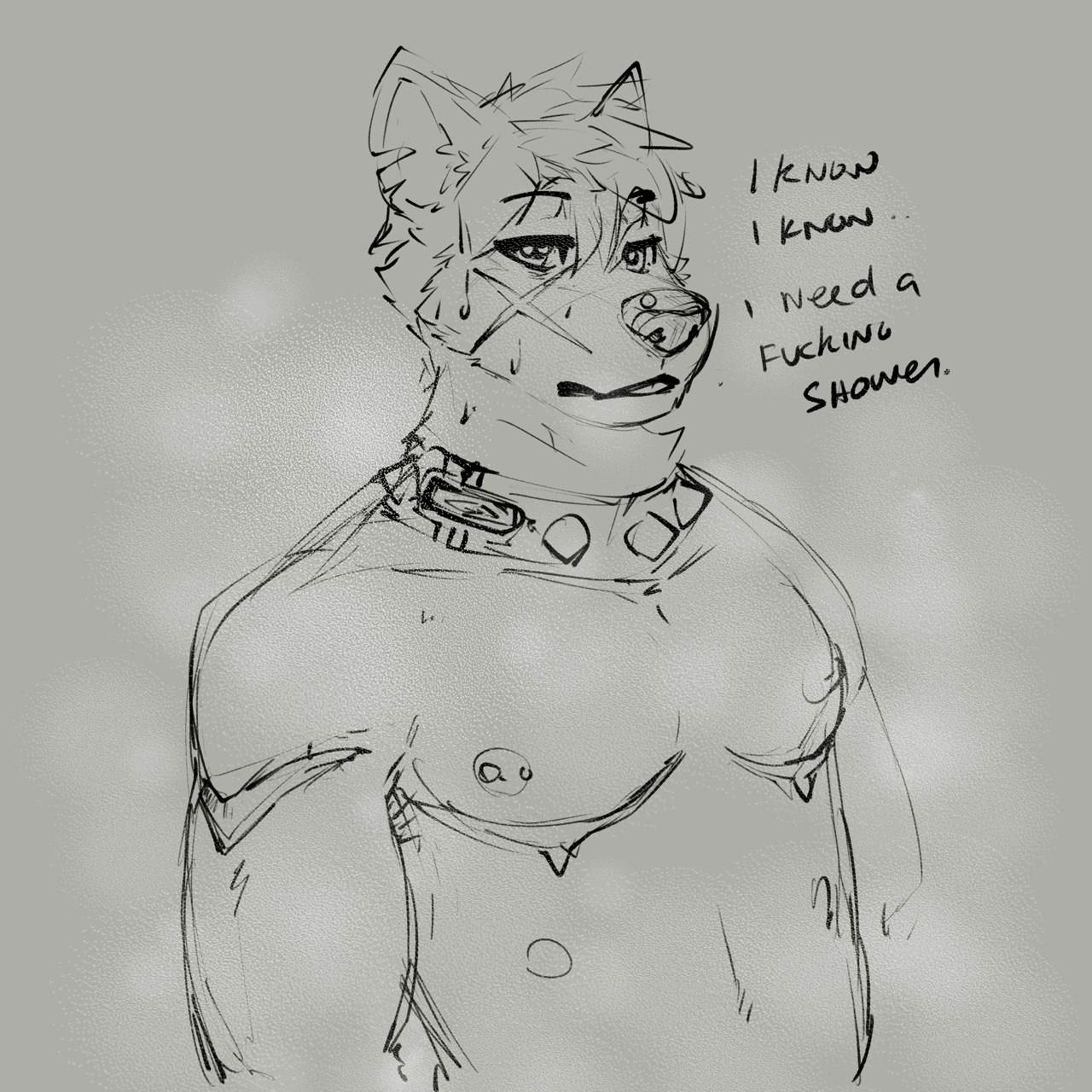 5050432_BastionShadowpaw_nox_-_musky.png
