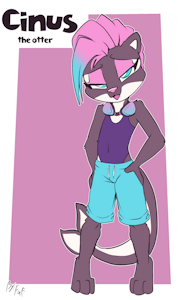 Cinus, an OrcaOtt