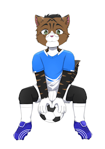 little soccer player