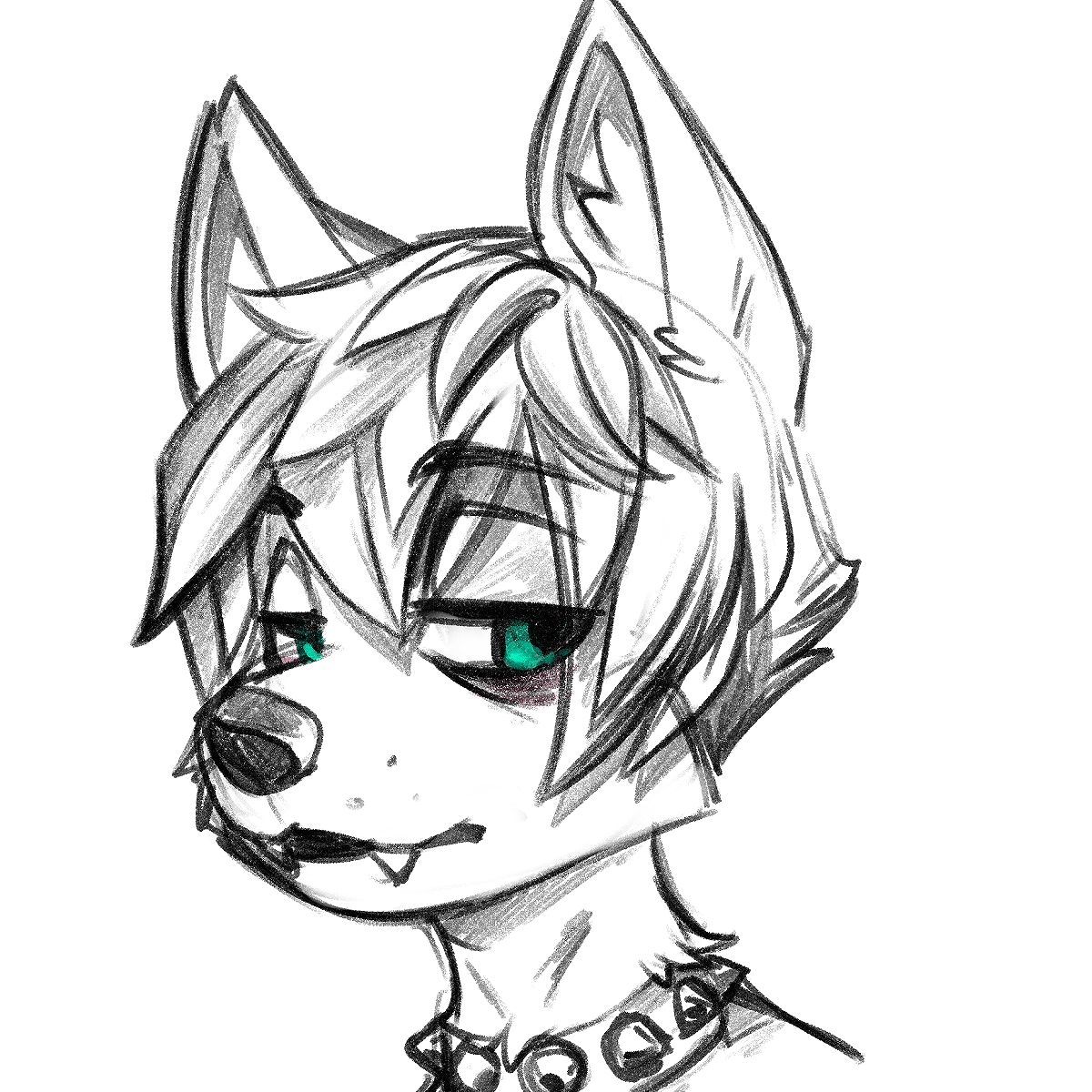 5054097_BastionShadowpaw_ollie_-_mnph.png
