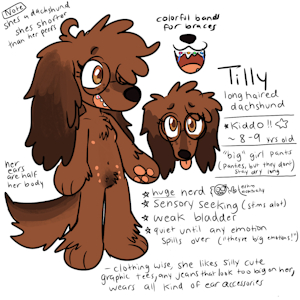 tilly (2024)