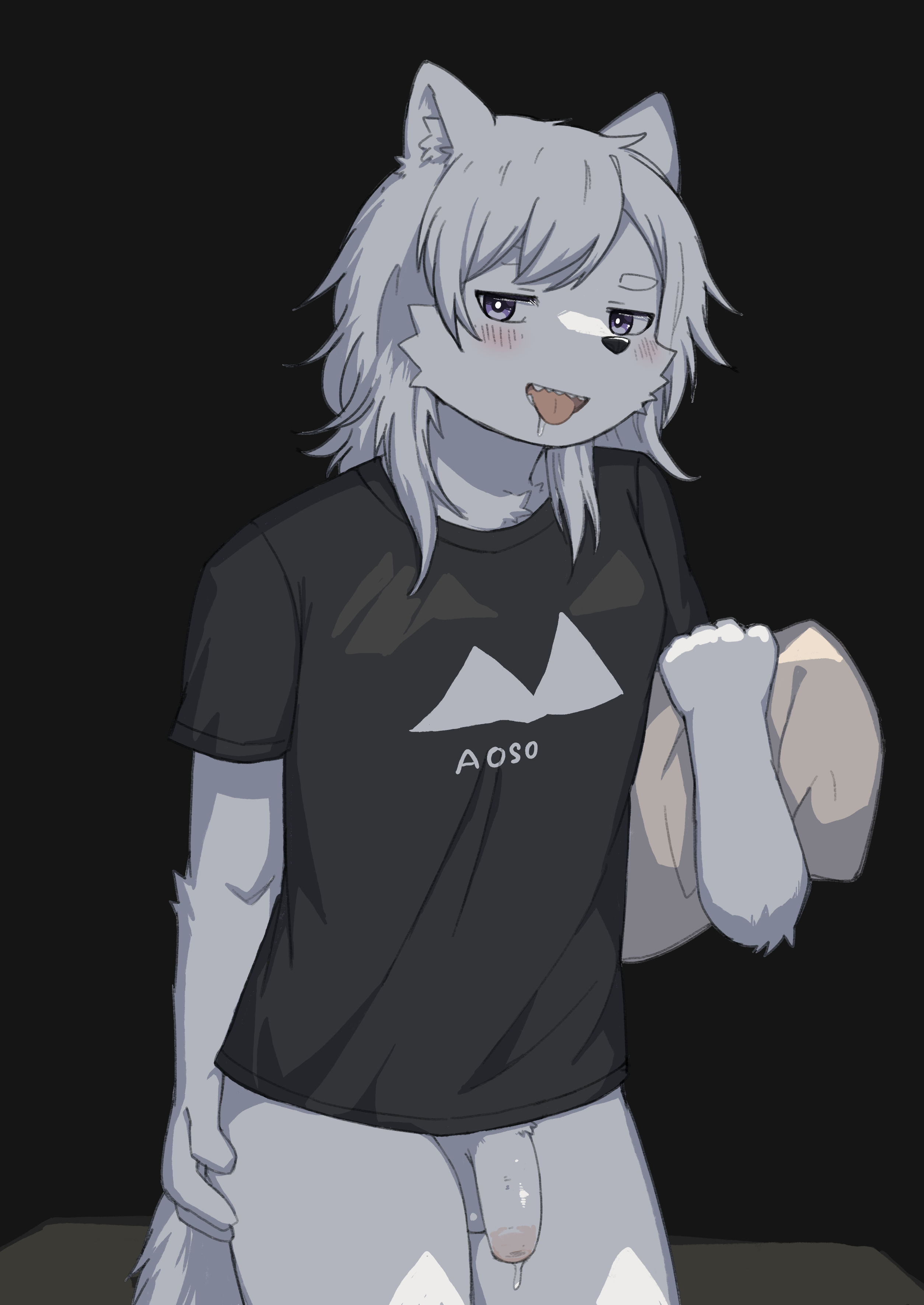 5057640_ROO310_240531_02.png