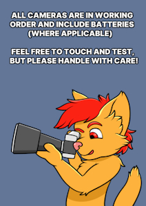 Camera Sign (art)