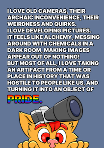 Reskinning Cameras (art)
