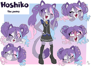 5061701_Fuf_hoshikosheetcoloredclothed1gr.png