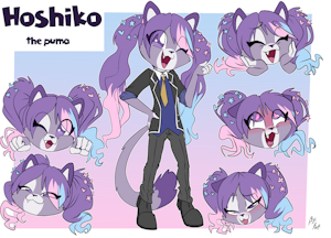 5061703_Fuf_hoshikosheetcoloredclothed2gr.png