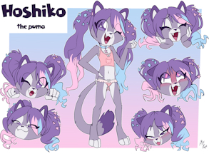 5061706_Fuf_hoshikosheetcoloredclothed5gr.png
