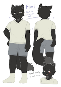 Flint The Black Fox