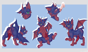 Lil Dragon