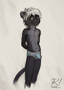 ($) Briefs!