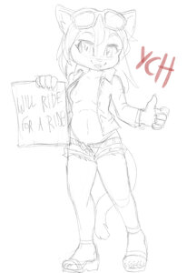 24h-Auction: Hitchhiker