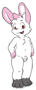 5067011_Hoya82_240606-hoya-3.png
