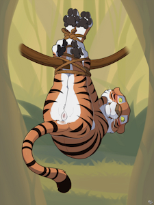 Sheba the Tigress