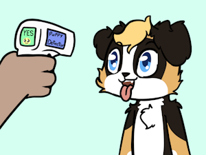 Detector YCH
