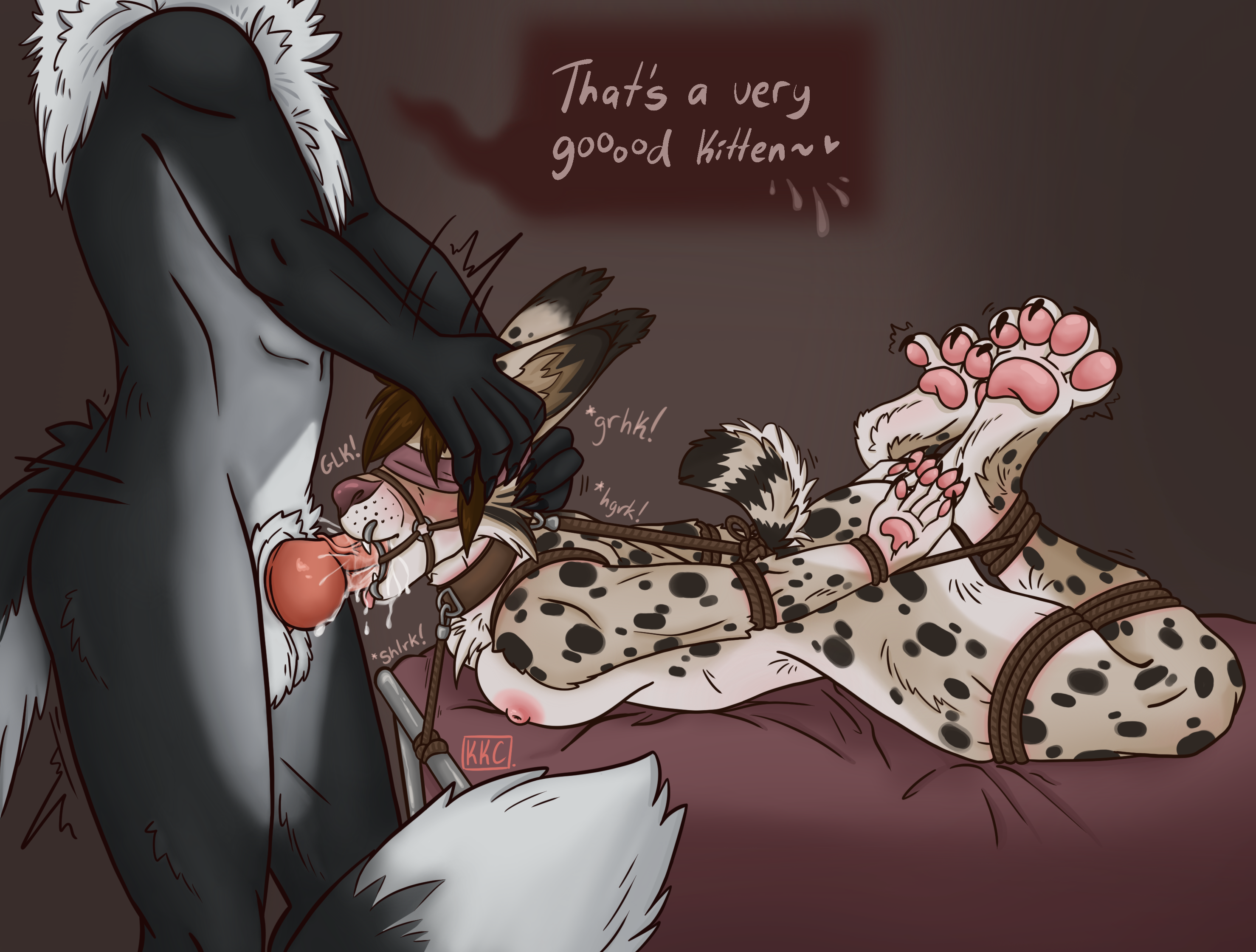 5069049_Nightdancer_oral_lessions.png