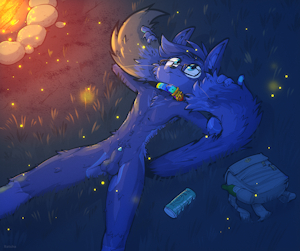 Stargazing