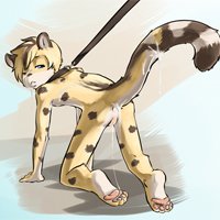 435194_kitaness_pg14b.png