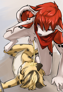 435197_kitaness_montage1b.png