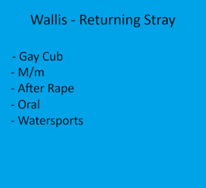 Wallis - Returning Stray