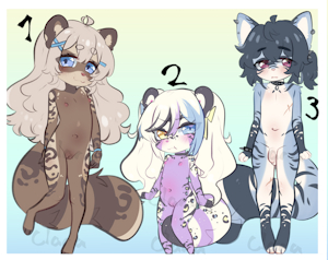 Adopts:closed