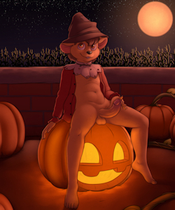 Pumpkin patch
