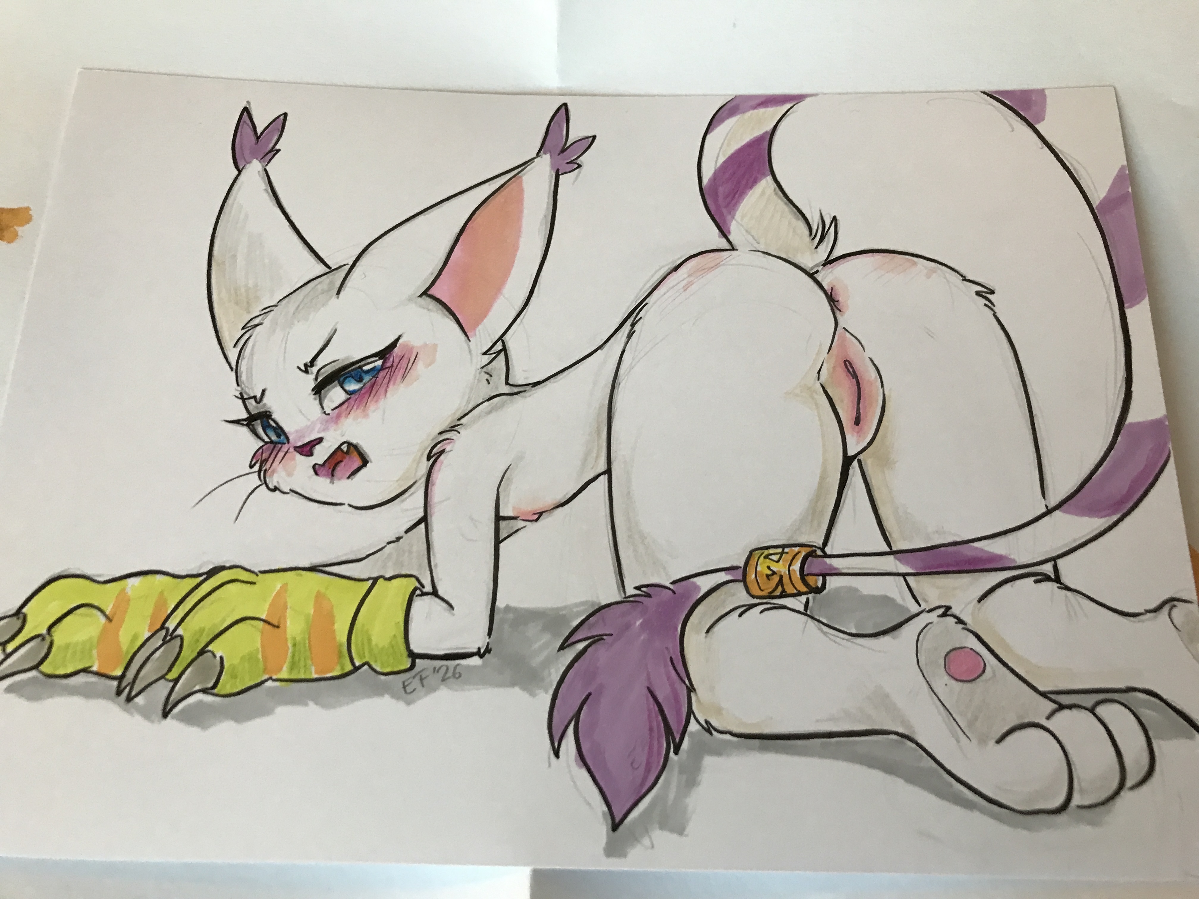 5235097_JinxMcKenzie_4606349_tokemoemon_-_gatomon_butt_img_6544.jpg