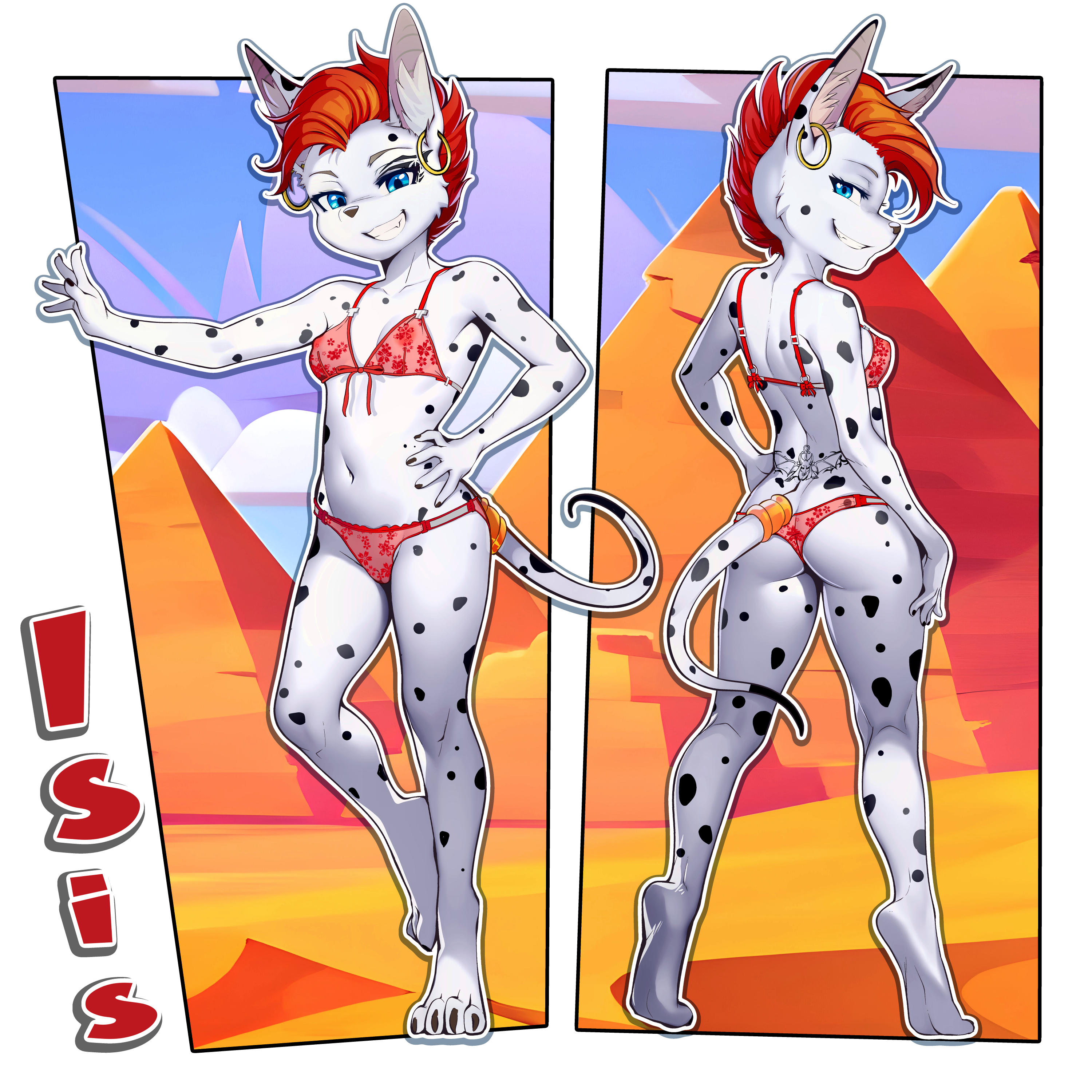 5237005_sicMoP_isis1-3.png