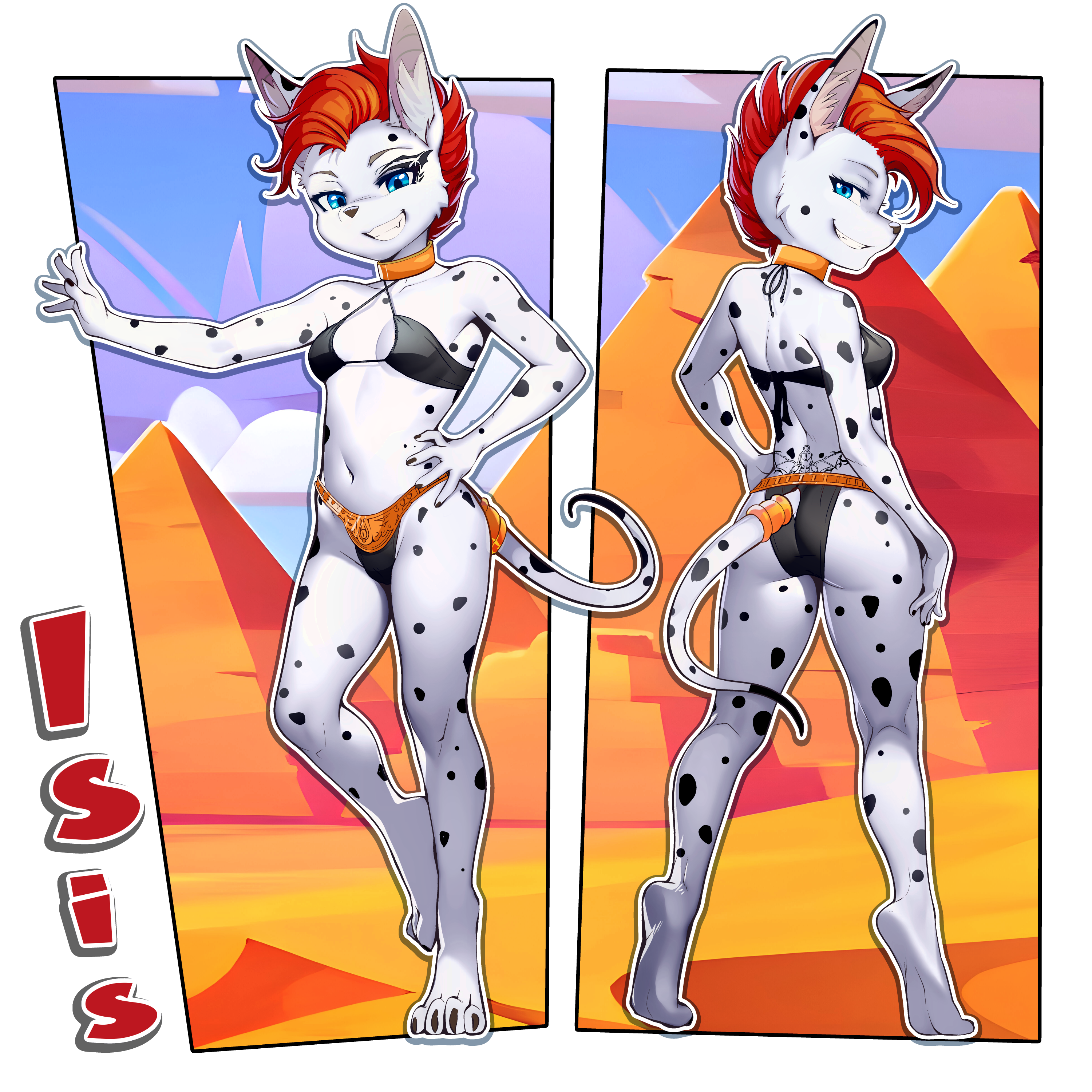 5237025_sicMoP_isis1-5.png