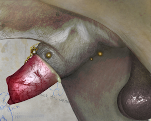 5237664_darkmare_1705701822.darkmare_studs2_c.png