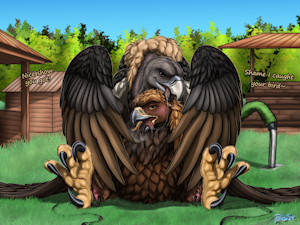 5238967_Ferobird69_white_rumped_vult_fucketlist_no_close-ups.png