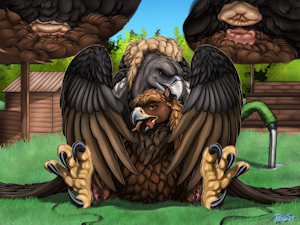 5238968_Ferobird69_white_rumped_vult_fucketlist_clean.png