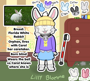Lilly Blomme the Blind Bunny