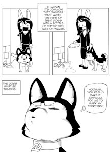 Dogs in Japan