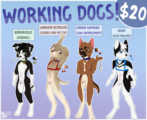 Adopt-a-Cub! $20