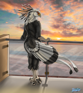 5251879_Ferobird69_private_resort_sfw.png