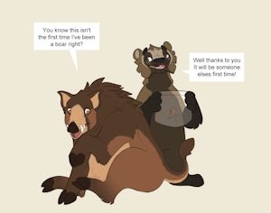 Bear To Boar Color