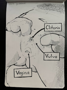 "Guidebook" - Day 15 Inktober 2024