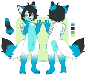 [c] Reference sheet
