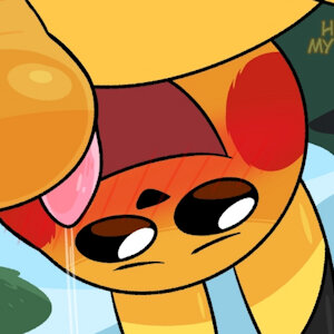PMD 8