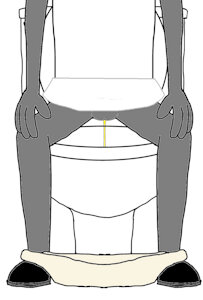 Juno on the toilet