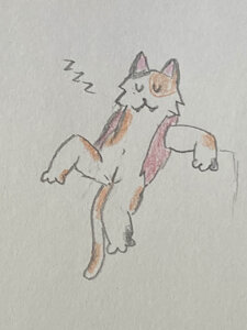Sam Sleeping