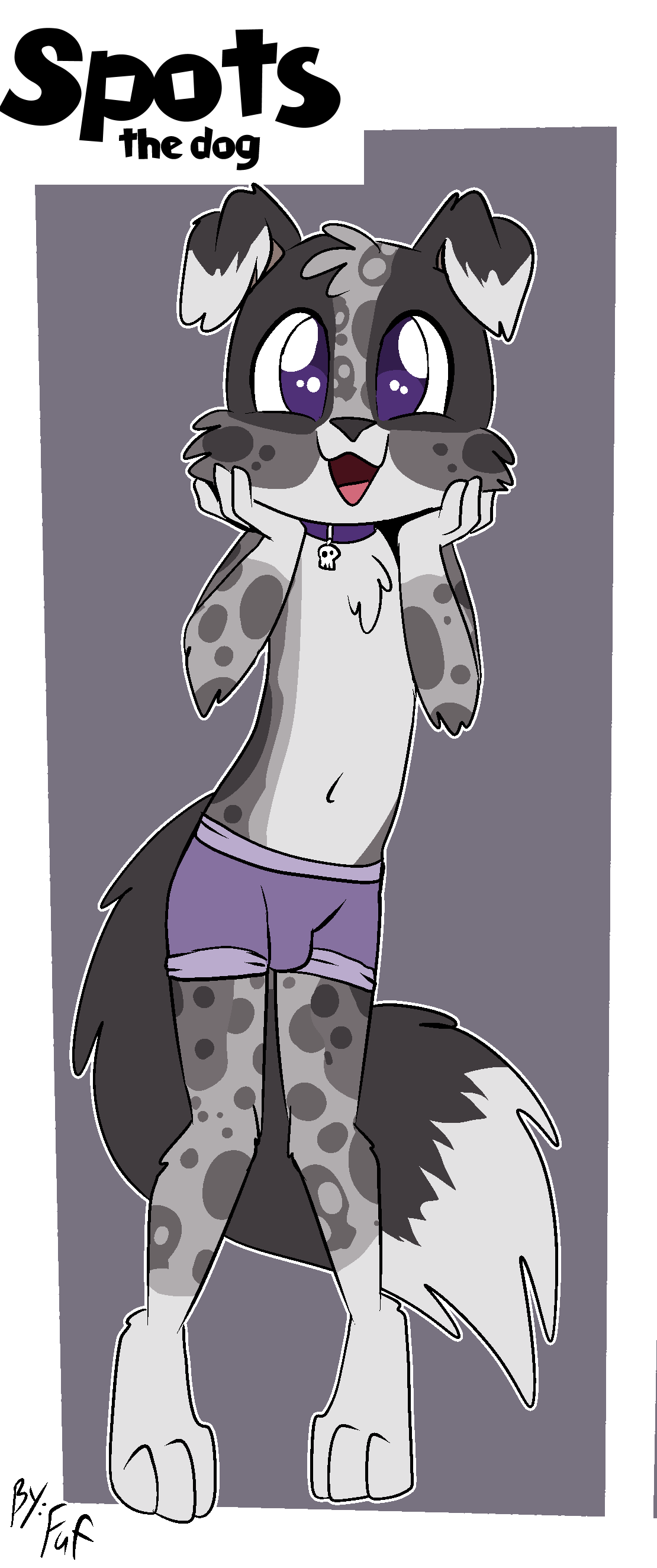 5269712_Dogering_spotsclothesundies.png