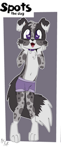 5269712_Dogering_spotsclothesundies.png