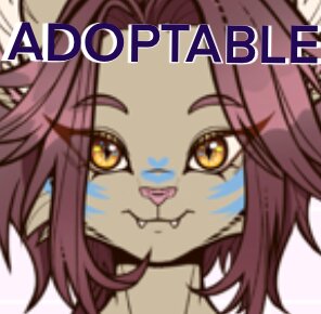 Adoptable- Orion OPEN